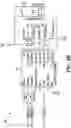 Fig. 04 - SECONDARY CIRCUIT AND TIMING DEVICE FOR APPLIANCE