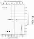 Fig. 14 - GLASS SUBSTRATE ADHESION CONTROL