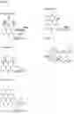 Fig. 02 - COMBINATIONS OF MACROLIDE COMPOUNDS AND IMMUNE CHECKPOINT INHIBITORS