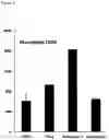 Fig. 06 - COMBINATIONS OF MACROLIDE COMPOUNDS AND IMMUNE CHECKPOINT INHIBITORS