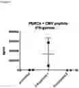 Fig. 10 - COMBINATIONS OF MACROLIDE COMPOUNDS AND IMMUNE CHECKPOINT INHIBITORS