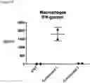 Fig. 11 - COMBINATIONS OF MACROLIDE COMPOUNDS AND IMMUNE CHECKPOINT INHIBITORS