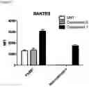 Fig. 12 - COMBINATIONS OF MACROLIDE COMPOUNDS AND IMMUNE CHECKPOINT INHIBITORS