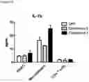 Fig. 14 - COMBINATIONS OF MACROLIDE COMPOUNDS AND IMMUNE CHECKPOINT INHIBITORS