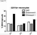 Fig. 16 - COMBINATIONS OF MACROLIDE COMPOUNDS AND IMMUNE CHECKPOINT INHIBITORS