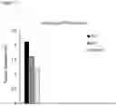 Fig. 18 - COMBINATIONS OF MACROLIDE COMPOUNDS AND IMMUNE CHECKPOINT INHIBITORS