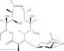 Fig. 28 - COMBINATIONS OF MACROLIDE COMPOUNDS AND IMMUNE CHECKPOINT INHIBITORS