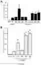 Fig. 02 - ACID-ALPHA GLUCOSIDASE VARIANTS AND USES THEREOF