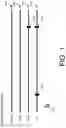 Fig. 02 - NAVIGABLE TOOLTIP