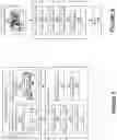 Fig. 02 - Domain restriction of neural networks through synthetic data pre-training
