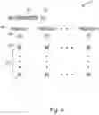 Fig. 07 - Mechanism for associating emails with filter labels