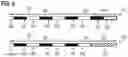 Fig. 07 - Coexistence of persistent and dedicated allocations on a wireless link