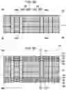 Fig. 09 - Wiring substrate
