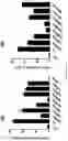 Fig. 08 - Genetically modified non-human animal with human or chimeric LAG3