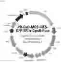 Fig. 10 - COMPOSITIONS AND METHODS FOR REGULATING A BIOLOGICAL PROCESS