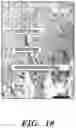 Fig. 45 - COMPOSITIONS AND METHODS FOR REGULATING A BIOLOGICAL PROCESS