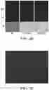 Fig. 51 - COMPOSITIONS AND METHODS FOR REGULATING A BIOLOGICAL PROCESS