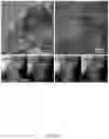Fig. 06 - Fe-N-C CATALYST, METHOD OF PREPARATION AND USES THEREOF