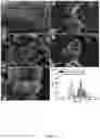 Fig. 07 - Fe-N-C CATALYST, METHOD OF PREPARATION AND USES THEREOF