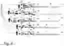 Fig. 07 - Comprehensive healthcare data management system