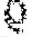 Fig. 09 - Health data aggregation and outbreak modeling
