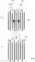 Fig. 06 - Insulation of non-liquid immersed transformers