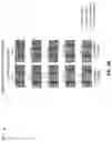 Fig. 05 - Techniques for demodulation reference signal time domain pattern configuration