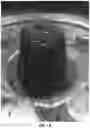 Fig. 02 - ADDITIVES FOR ENHANCED BINDING IN GROWING MEDIA