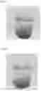 Fig. 02 - Processed products of tea and method for manufacturing the same