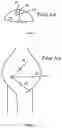 Fig. 02 - Apparatus and method for minimally invasive surgery