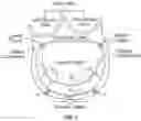 Fig. 02 - Annuloplasty systems and methods
