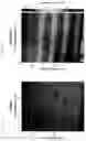 Fig. 11 - Refractive index shaping laser writing process control
