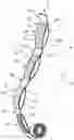 Fig. 01 - Strap for sling and method for manufacturing such a strap and use of such strap