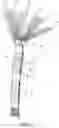Fig. 03 - Strap for sling and method for manufacturing such a strap and use of such strap
