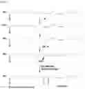 Fig. 02 - COMPOSITION FOR REMOVING ALDEHYDE-BASED ODORS AND REACTIVE OXYGEN SPECIES