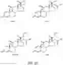 Fig. 32 - PARTICLES, COMPOSITIONS AND METHODS FOR OPHTHALMIC AND/OR OTHER APPLICATIONS