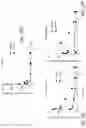 Fig. 37 - PARTICLES, COMPOSITIONS AND METHODS FOR OPHTHALMIC AND/OR OTHER APPLICATIONS