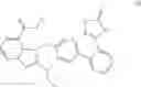 Fig. 04 - Pharmaceutical preparation and use thereof