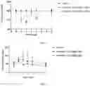 Fig. 02 - Compounds and methods for treating oxalate-related diseases