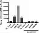 Fig. 01 - Innate Targeting of Adoptive Cellular Therapies