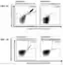 Fig. 15 - Peptides and combination of peptides of non-canonical origin for use in immunotherapy against different types of cancers
