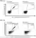 Fig. 16 - Peptides and combination of peptides of non-canonical origin for use in immunotherapy against different types of cancers