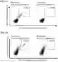 Fig. 17 - Peptides and combination of peptides of non-canonical origin for use in immunotherapy against different types of cancers