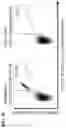 Fig. 18 - Peptides and combination of peptides of non-canonical origin for use in immunotherapy against different types of cancers