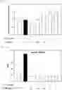 Fig. 07 - PHARMACEUTICAL COMPOSITION COMPRISING ISOLATED MITOCHONDRIA FOR PREVENTION OR TREATMENT OF RHEUMATOID ARTHRITIS