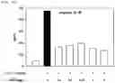 Fig. 08 - PHARMACEUTICAL COMPOSITION COMPRISING ISOLATED MITOCHONDRIA FOR PREVENTION OR TREATMENT OF RHEUMATOID ARTHRITIS