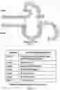 Fig. 02 - Insulin premix formulation and product, methods of preparing same, and methods of using same