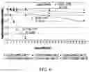 Fig. 06 - Insulin premix formulation and product, methods of preparing same, and methods of using same
