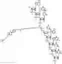 Fig. 01 - COMPOUNDS AND METHODS FOR TRANS-MEMBRANE DELIVERY OF MOLECULES