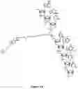 Fig. 02 - COMPOUNDS AND METHODS FOR TRANS-MEMBRANE DELIVERY OF MOLECULES
